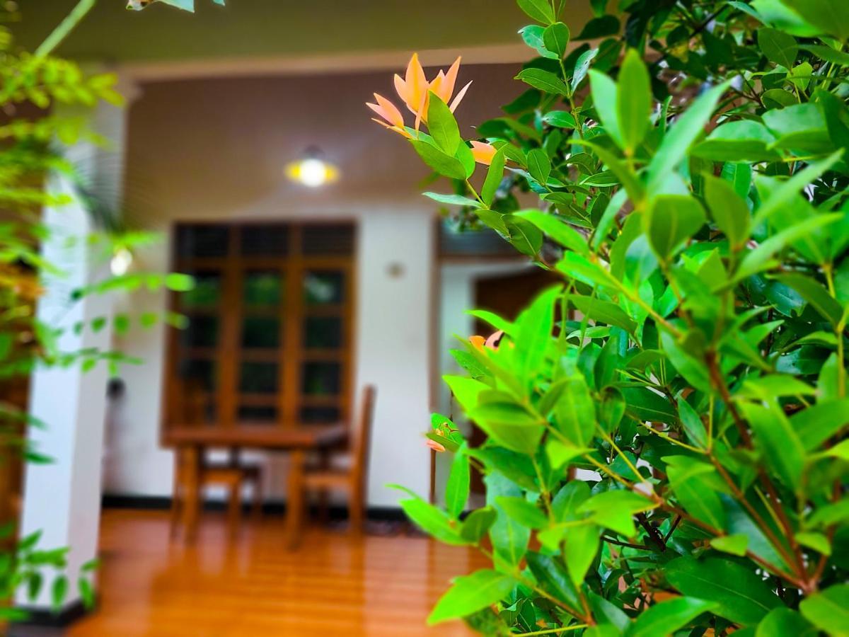 Woodholic Homestay 시기리야 외부 사진
