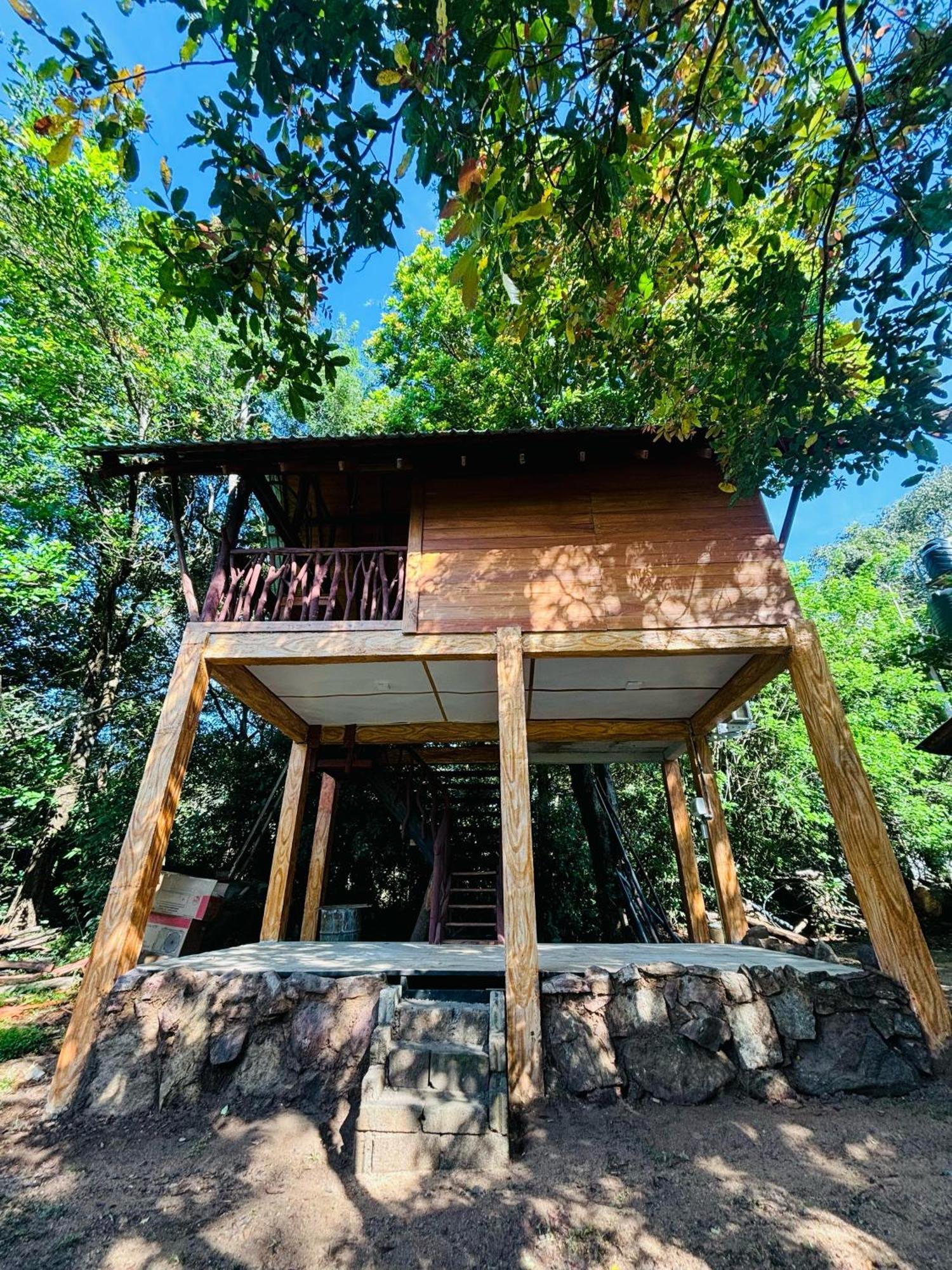 Woodholic Homestay 시기리야 외부 사진